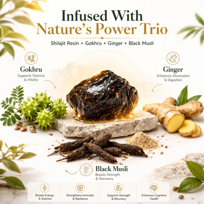 Shilajit ShilaBoost Gummies